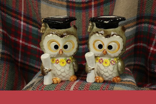 Pair graduation owl piggy - graduation,