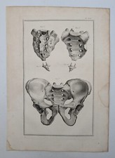 Bassin - Anatomie - Ostéologie - Tarsis - 1759 - planche originale