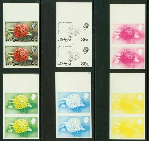 Antigua 1976 flame flower 35c - antigua,