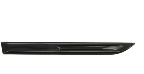Baguette noire pour - , avant