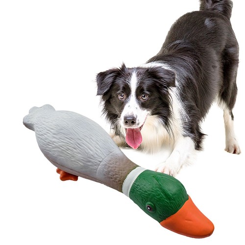 Canard colvert jouet - , pour