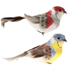 Taxidermie Réaliste