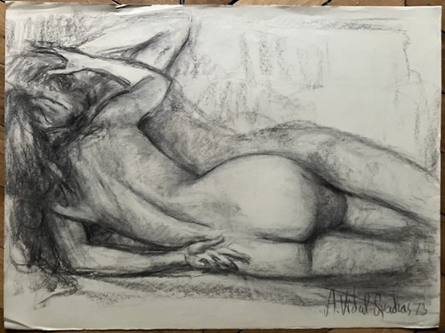Alejo vidal quadras fusain - alejo,