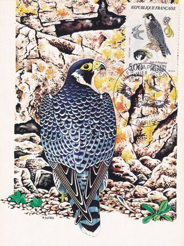 Carte postale postcard - , 1er