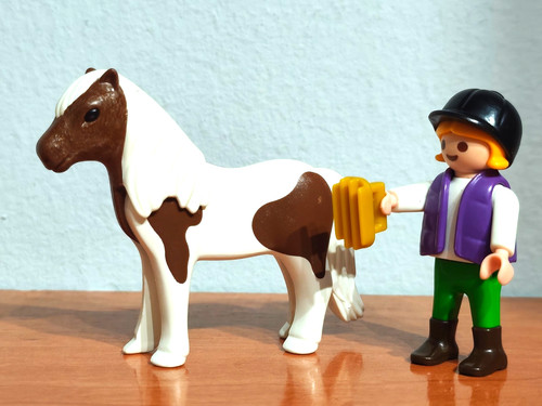 Figurines playmobil fille avec - figurines,