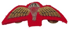 Brevet de parachutiste grande