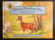 Fawn at Woodland Way -