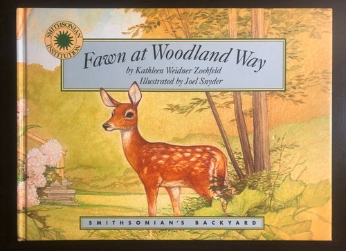 Fawn woodland way - way,