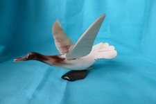 Ancien Oiseau en corne sur