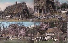 Lot de 4 cartes postales