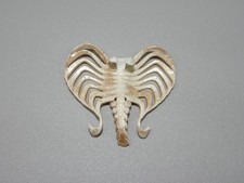Monster High Cupid 1600 Wings