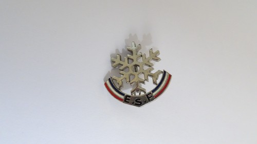 Anciens flocons esf ski - flocons,