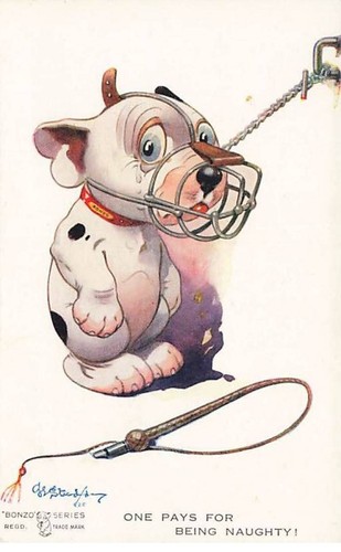 Animals dog one pays - animals,