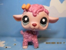 PETSHOP MOUTON N°1951