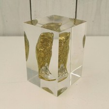  Inclusion résine chouette hibou, Giraudon déco cabinet de curiosité