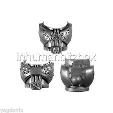 RCSQ29 TORSE RAVENWING