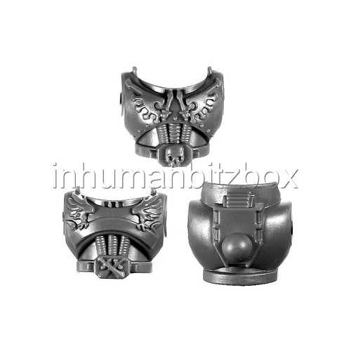 Rcsq29 torse ravenwing - torse,