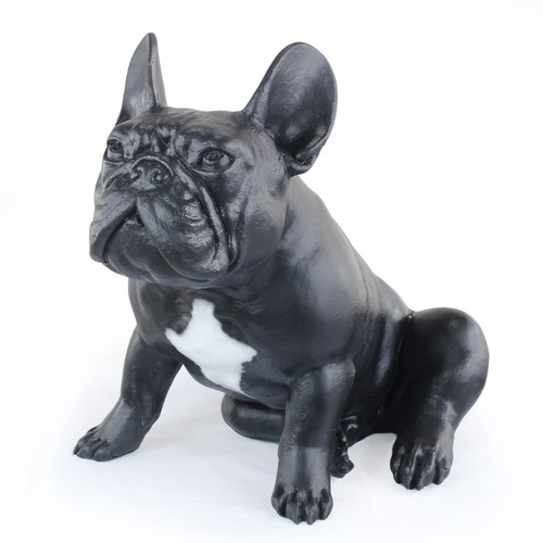 Bouledogue français iii - français,