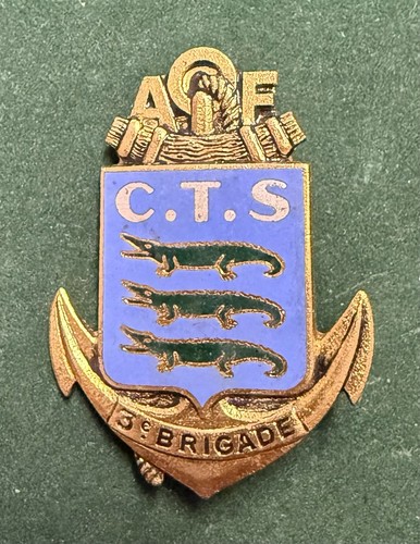 Insigne compagnie transit - insigne, de