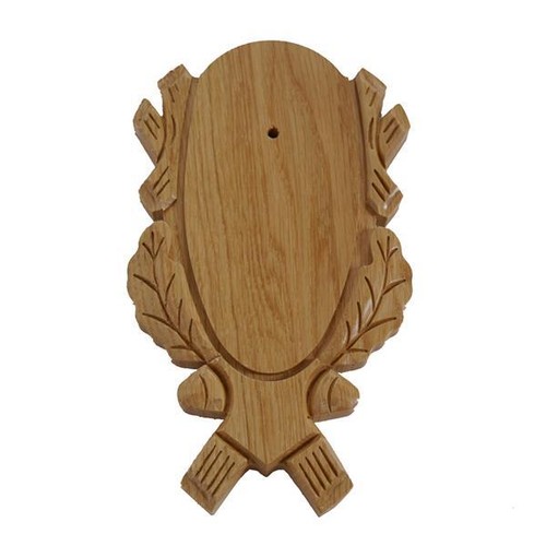 Plaque trophée pièce - plaque,