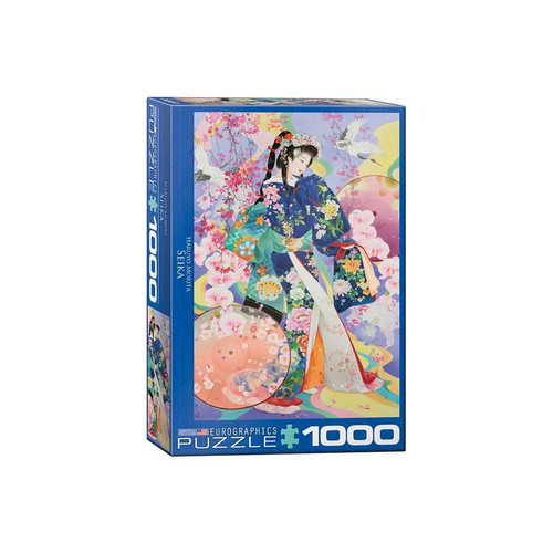 Puzzle eurographics seika by - eurographics,