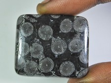 49Cts. Cabochon octogonal