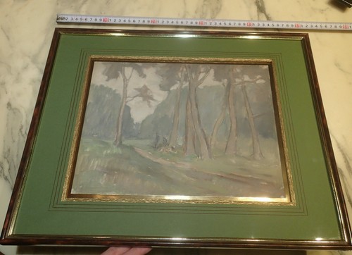 1920 forêt landaise cadre - forÊt,