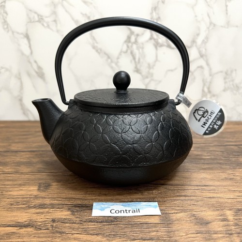 Bouilloire fer nambu - en,
