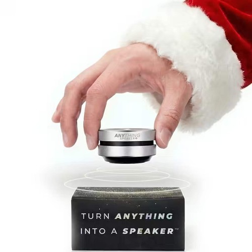 Turn anything into speaker - anything,