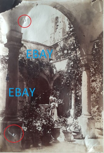 Album print wilhelm von - album,