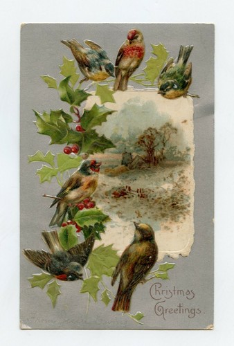 Noël oiseaux - ,