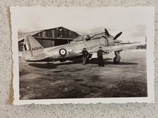 photo ALGERIE Aéroport ORAN 1948 Armée France Republic F-47 /P-47 "Thunderbolt"1