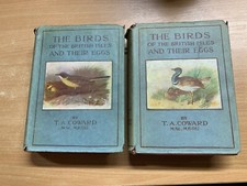 1936 " L'Birds Of les