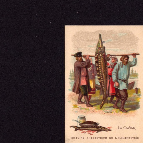 Cambrai chromo chicorée - (59),