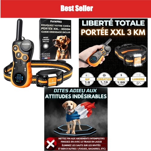 Collier dressage pawpro 3 - collier, de