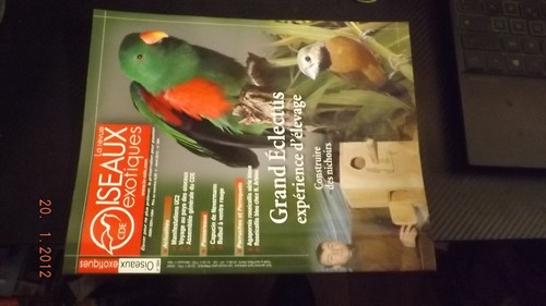 Revue cde oiseaux exotiques - gc,