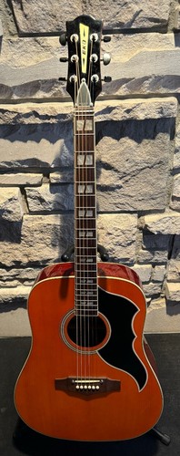 2021 eko ranger acoustic - ranger,