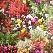 Nappe de Table en Toile Cirée