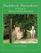 Paddock Paradise: A Guide To
