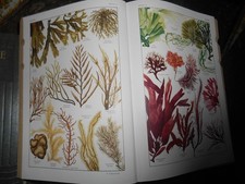 Dictionnaire Encyclopédique