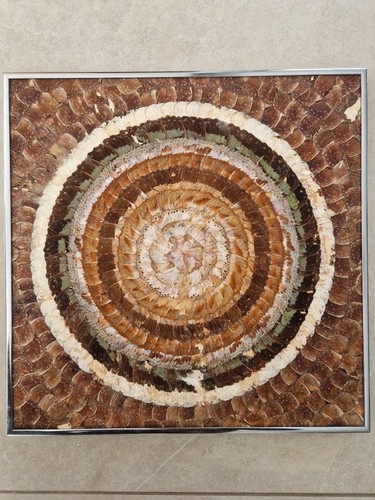 Tableau ailes papillons - en, de