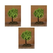 OFFRE 3 ARBRES DE LICHEN 7CM