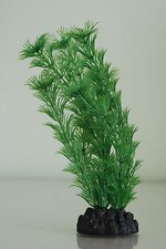 Aquarium Cornifle Plastique