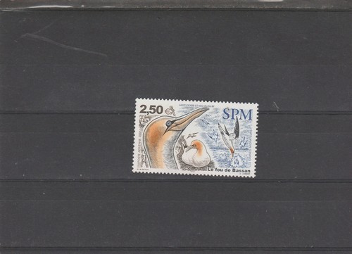 Saint pierre miquelon - saint-pierre-et-miquelon, n°