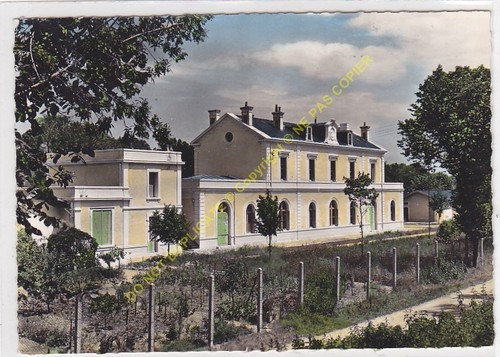 Cpsm 24600 riberac colonie - la,