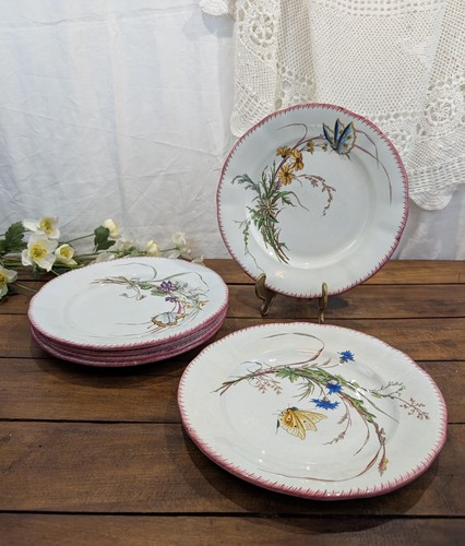 Assiettes plates - 6,