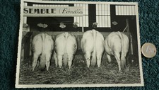 PHOTO   / CONCOURS AGRICOLE