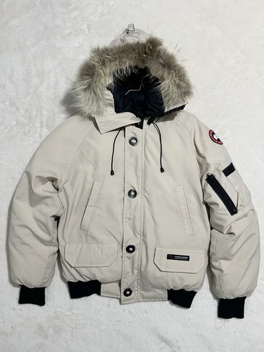 Canada goose chilliwack - goose,