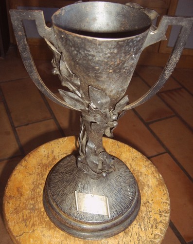 Copa botey catalogna - copa,