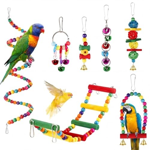 Pièces jouet perroquet - jouet,